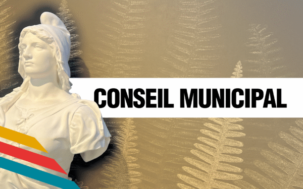 Conseil municipal : installation du conseil municipal